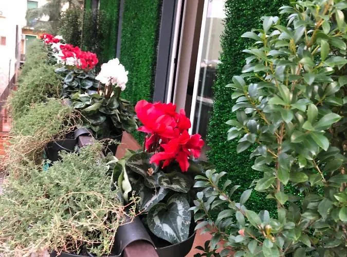 Pensjonat Sicily 4 4*